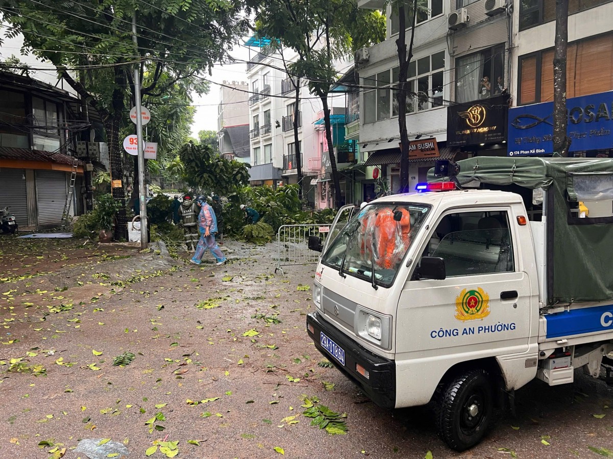 Hà Nội khẩn trương khắc phục tình trạng cây xanh gãy, đổ do mưa bão