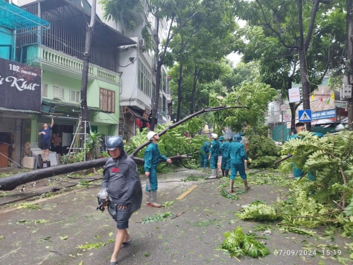 Hà Nội: Đẩy nhanh biện pháp giải tỏa cây xanh gãy, đổ sau bão