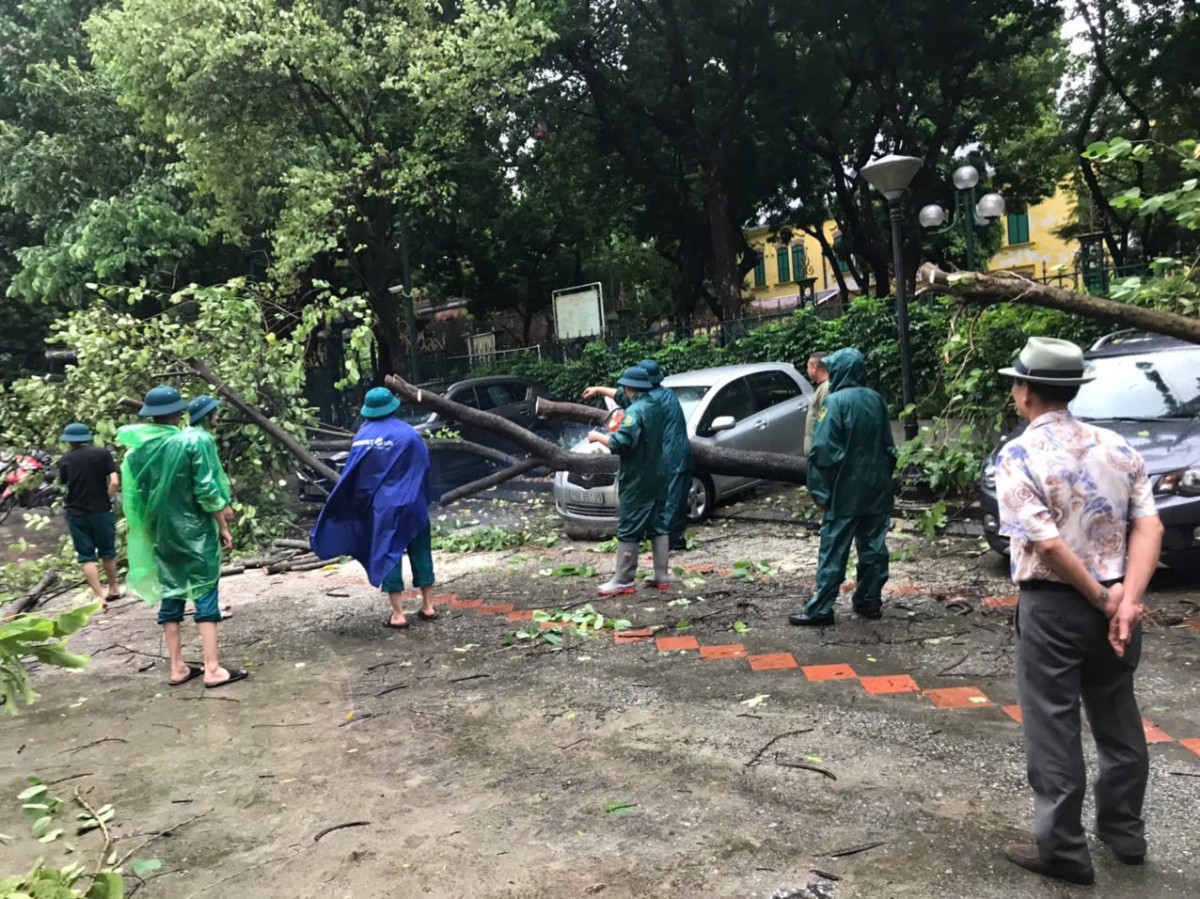 Hà Nội khẩn trương khắc phục tình trạng cây xanh gãy, đổ do mưa bão