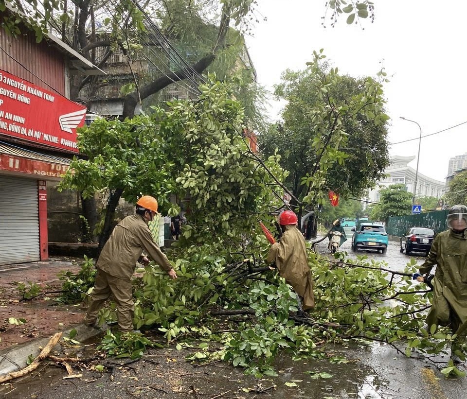 Hà Nội khẩn trương khắc phục tình trạng cây xanh gãy, đổ do mưa bão