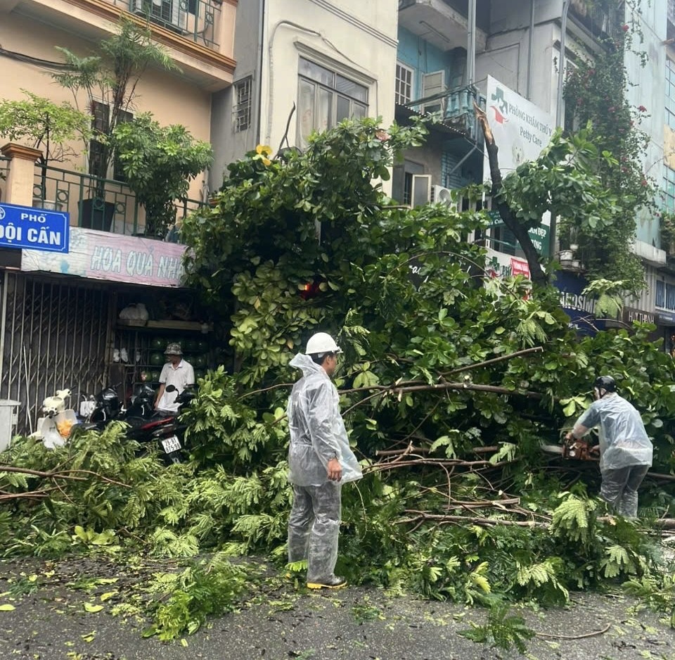 Hà Nội khẩn trương khắc phục tình trạng cây xanh gãy, đổ do mưa bão