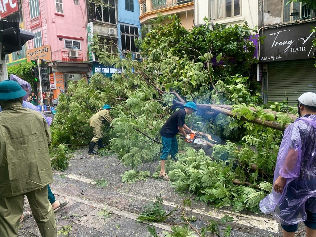 Hà Nội khẩn trương khắc phục tình trạng cây xanh gãy, đổ do mưa bão