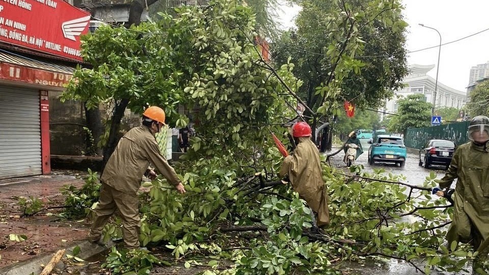 Kịp thời thông tin rộng rãi để nhân dân chủ động phòng, tránh bão số 3