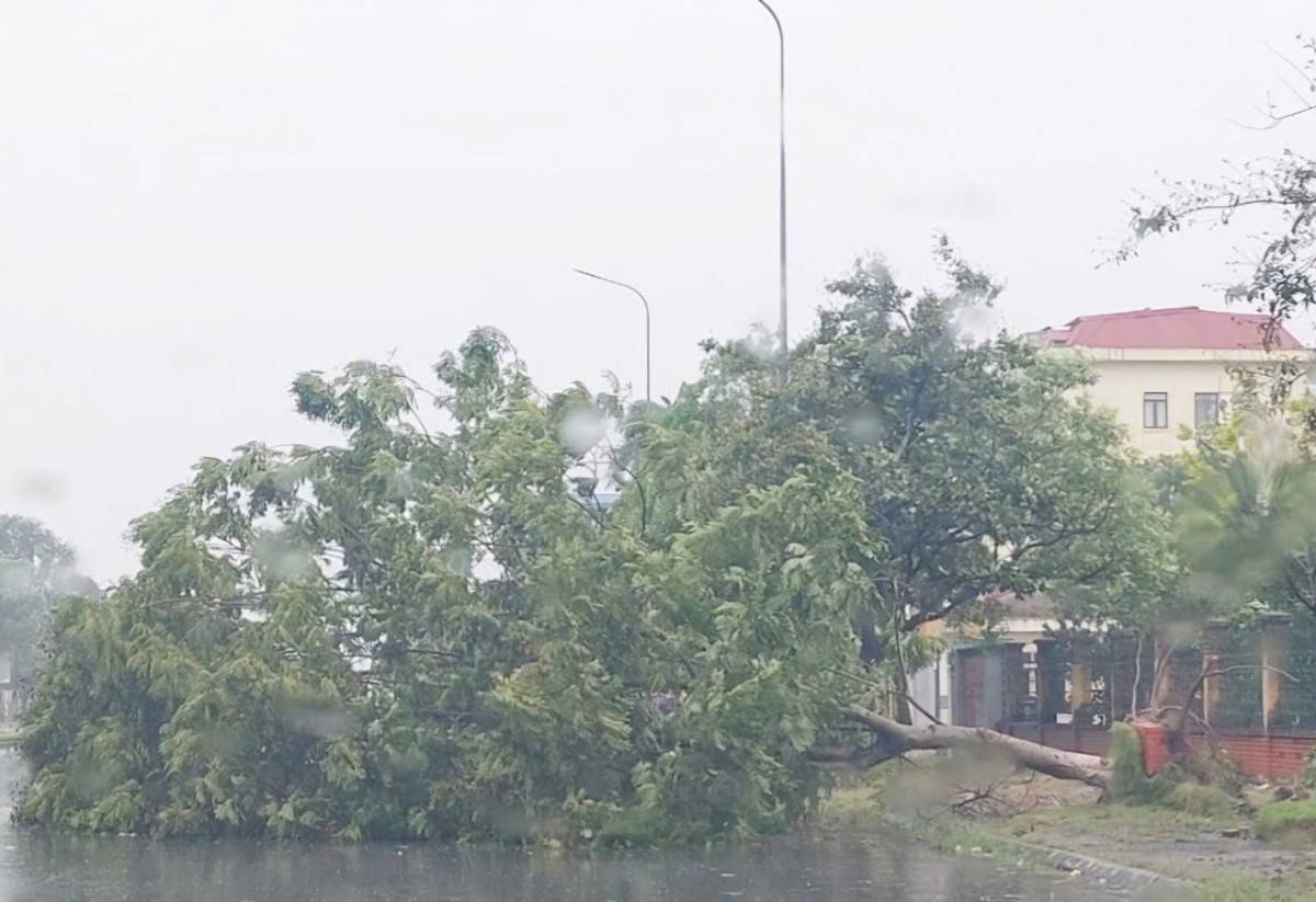 Hội Nhà báo Việt Nam kêu gọi ủng hộ đồng bào khắc phục hậu quả bão lũ