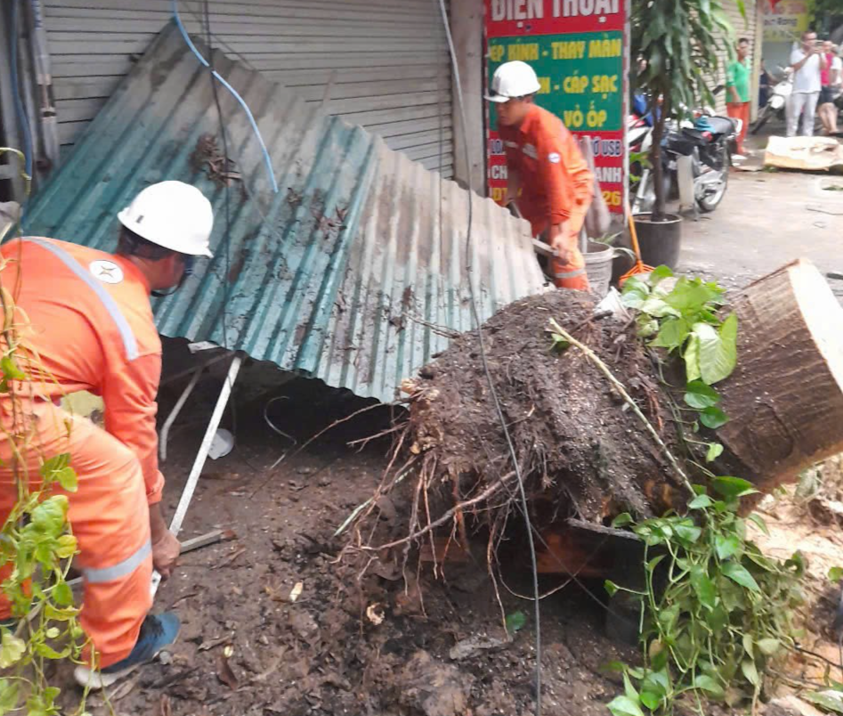 Bộ Công Thương chỉ đạo sớm cấp điện trở lại khu vực bị ảnh hưởng của bão số 3