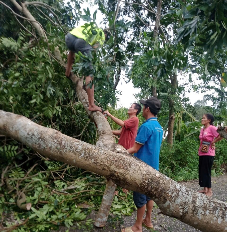 Huyện Mỹ Đức: Đảm bảo đời sống của nhân dân sau mưa, bão