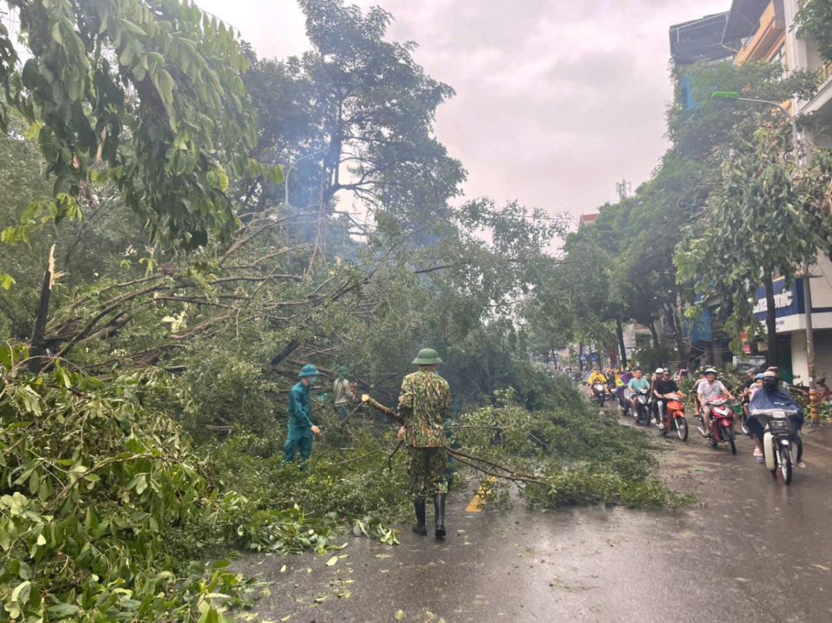 Hà Nội: Khẩn trương khắc phục 14.660 cây đổ và cành gãy trên toàn địa bàn