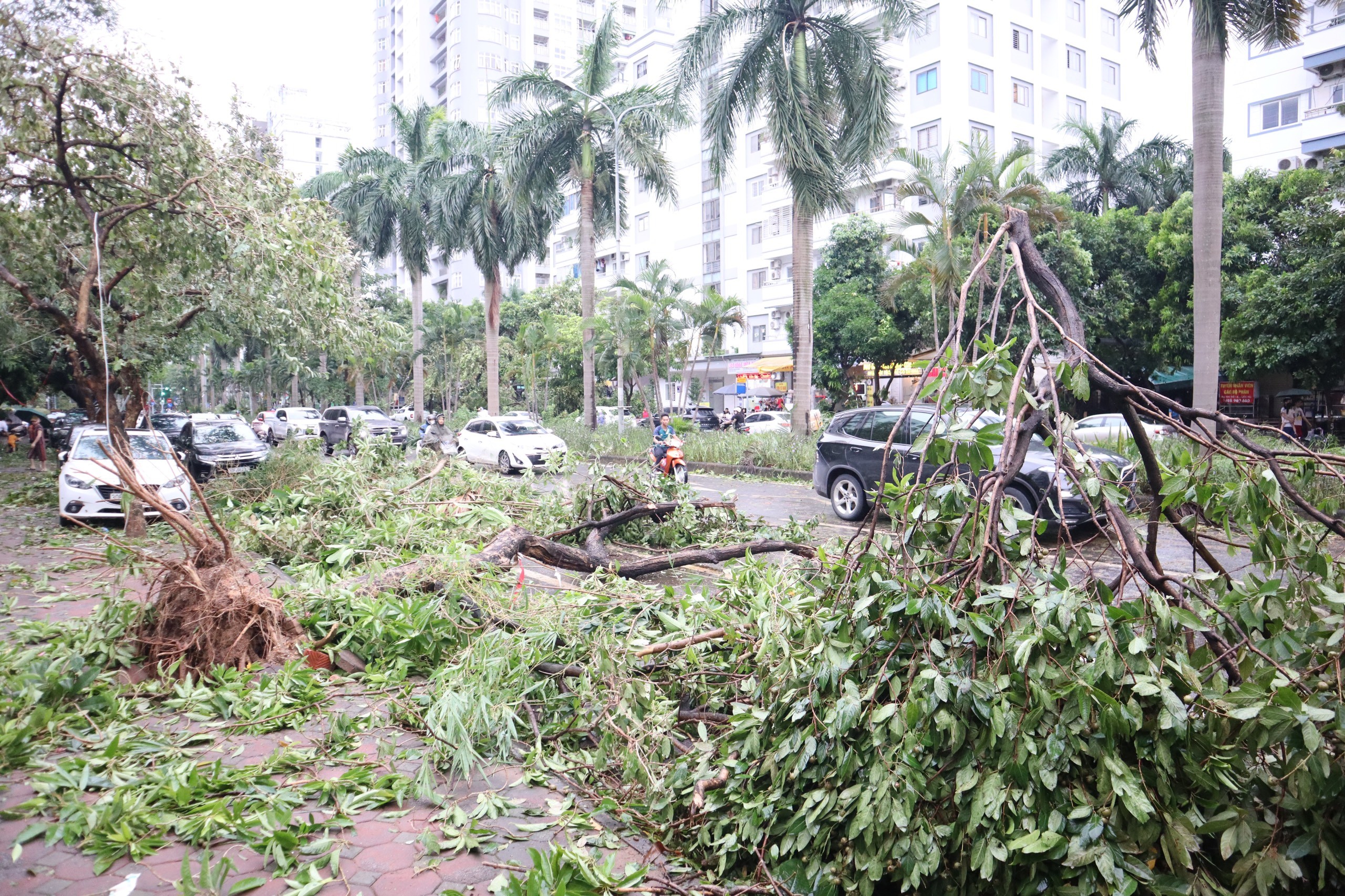 Lãnh đạo quận Nam Từ Liêm kiểm tra và đôn đốc các lực lượng khắc phục hậu quả bão số 3