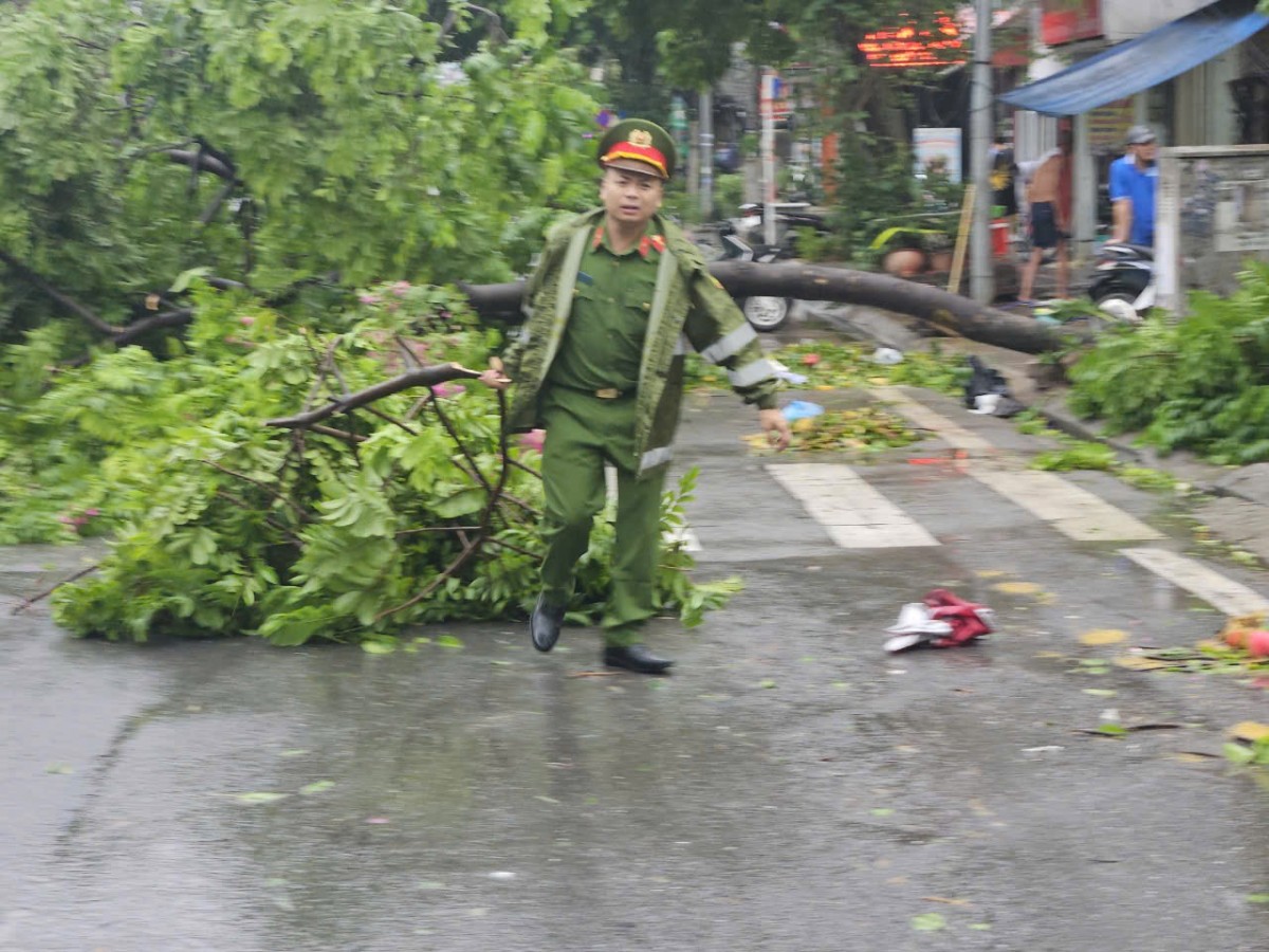 Hà Nội: Khẩn trương khắc phục 14.660 cây đổ và cành gãy trên toàn địa bàn