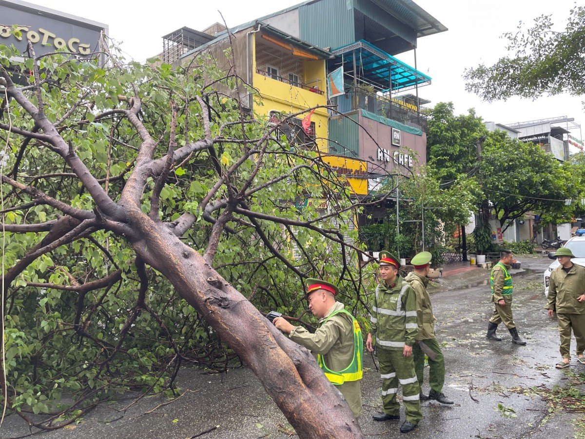 Hà Nội: Khẩn trương khắc phục 14.660 cây đổ và cành gãy trên toàn địa bàn