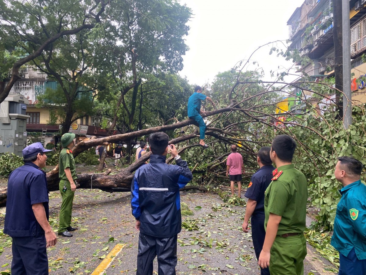 Hà Nội: Khẩn trương khắc phục 14.660 cây đổ và cành gãy trên toàn địa bàn