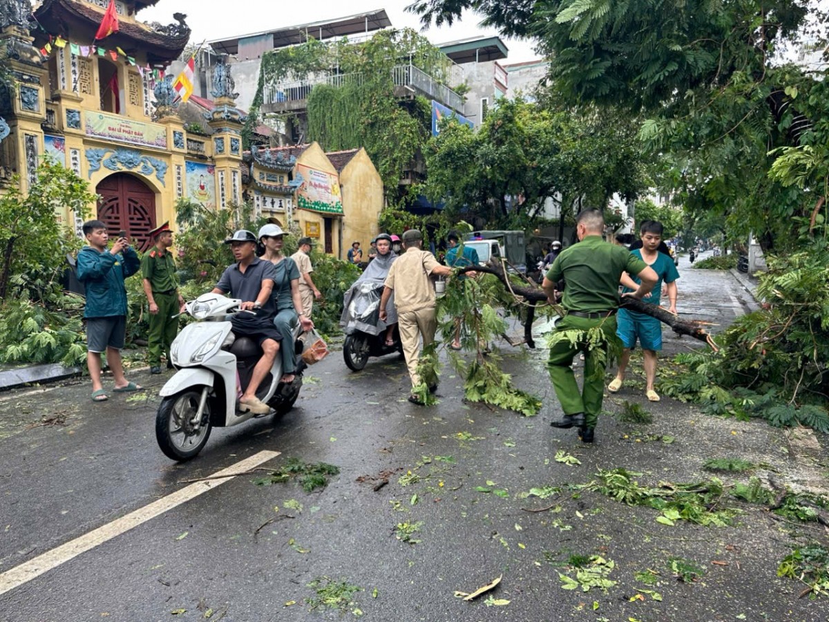 Hà Nội: Khẩn trương khắc phục 14.660 cây đổ và cành gãy trên toàn địa bàn