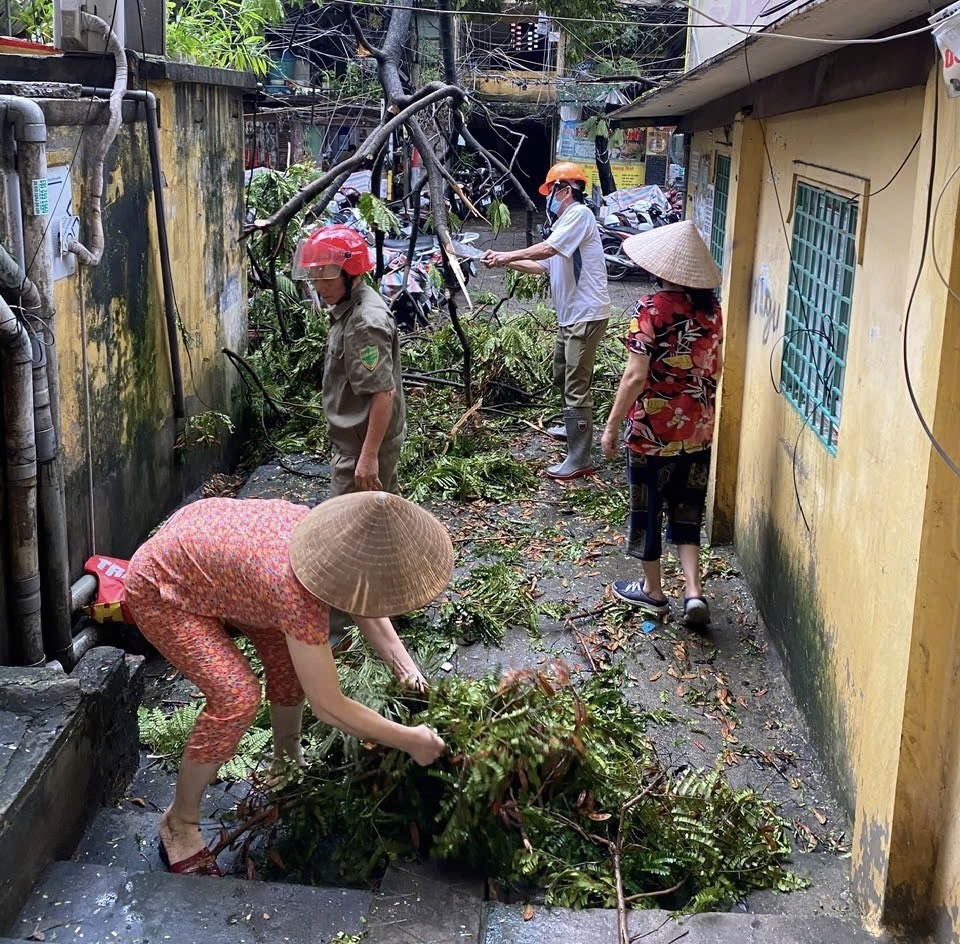 Hà Nội: Khẩn trương khắc phục 14.660 cây đổ và cành gãy trên toàn địa bàn