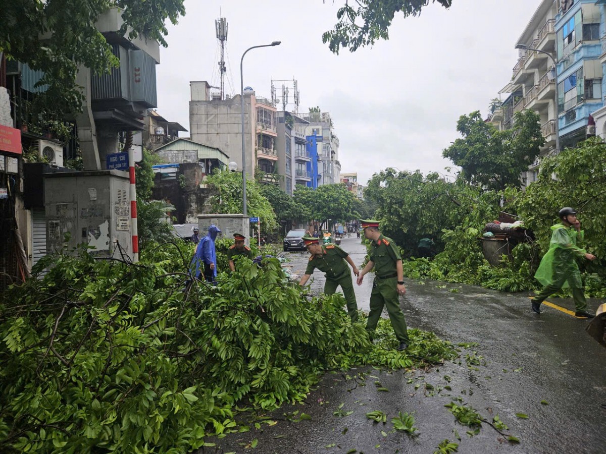 Hà Nội: Tập trung giải tỏa ngay cây gãy, đổ do bão số 3