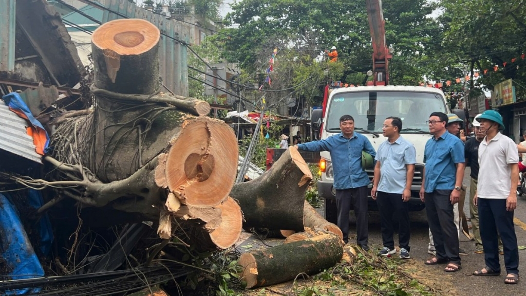 Huyện Ứng Hòa: Khoảng trên 2.000ha lúa mùa bị đổ do ảnh hưởng của bão số 3