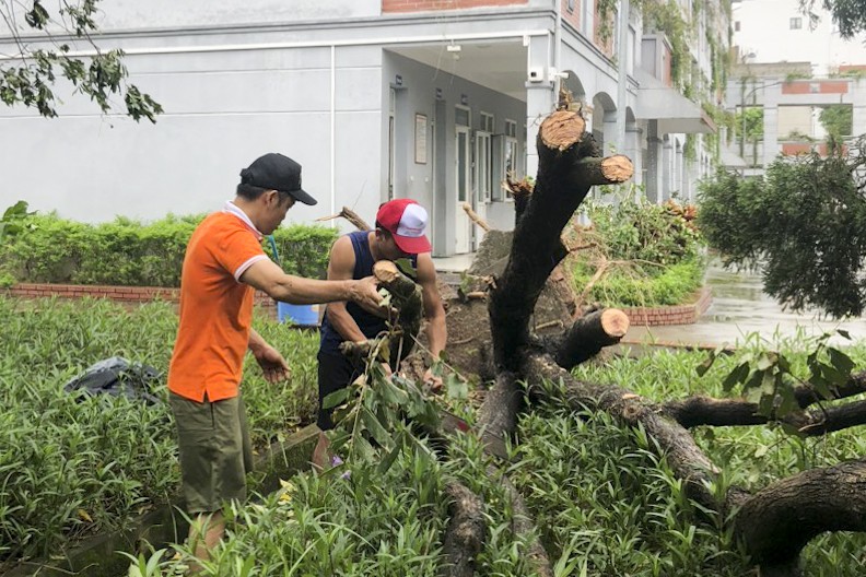 Trường học Hà Nội khẩn trương dọn dẹp, khắc phục hậu quả do bão số 3