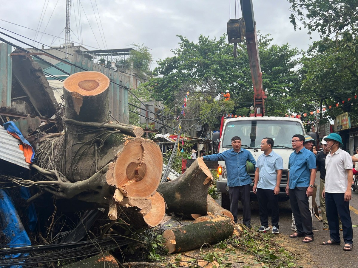 Huyện Ứng Hòa: Khoảng trên 2.000ha lúa mùa bị đổ do ảnh hưởng của bão số 3