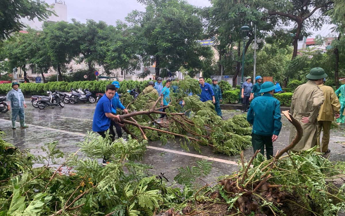 Thanh niên Thủ đô tích cực khắc phục hậu quả do bão số 3 gây ra