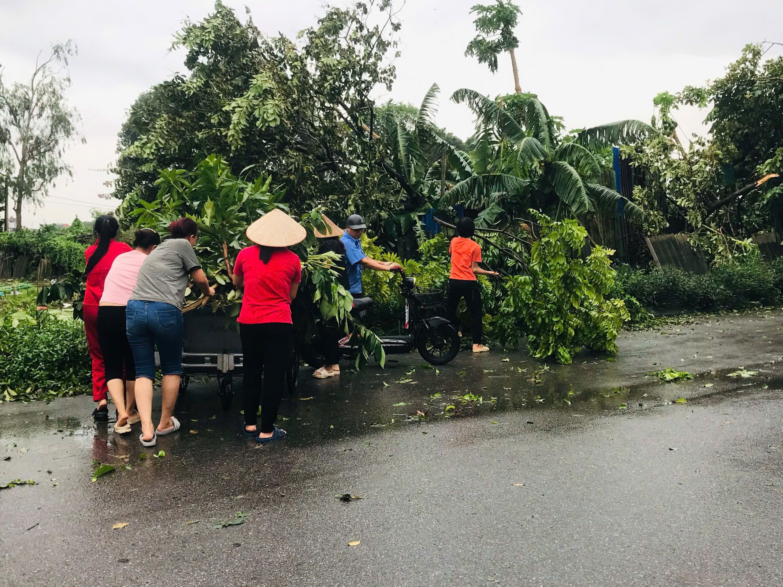 Toàn hệ thống chính trị huyện Thanh Trì chung sức khắc phục hậu quả bão số 3