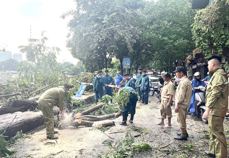 Quận Đống Đa: 100% hộ dân phải di dời tránh bão đã trở về nhà an toàn