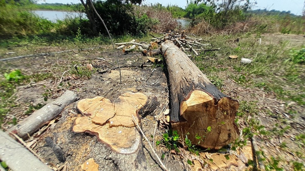 Liên quan đến loạt bài “Xâm phạm hồ Trị An”: Chỉ có Tỉnh uỷ Đồng Nai mạnh mẽ vào cuộc