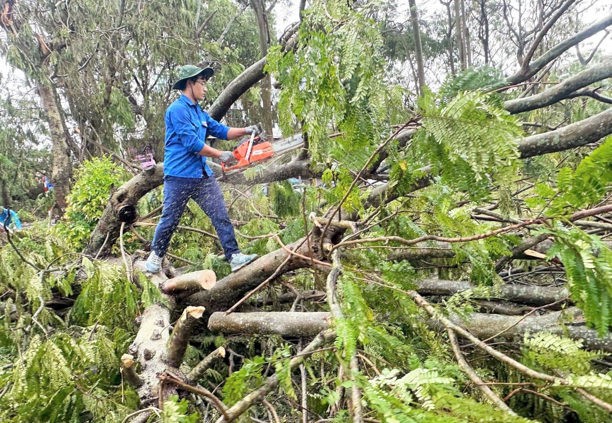 Thanh niên Nghệ An hỗ trợ người dân Hải Phòng khắc phục hậu quả sau bão số 3