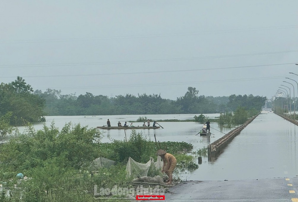 Khẩn trương đóng cửa xả đáy hồ thủy điện Hòa Bình và Tuyên Quang