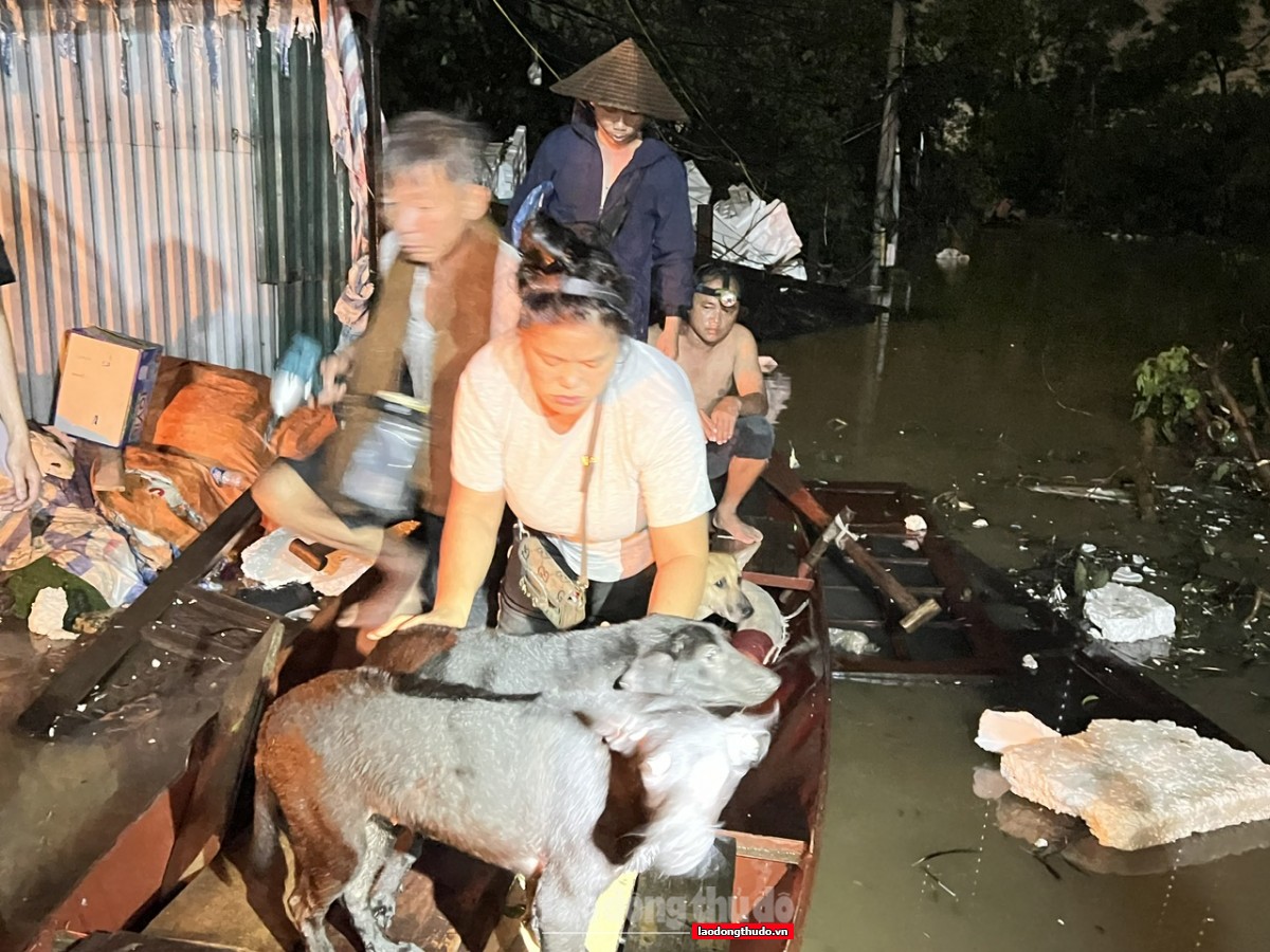 Tây Hồ: Nước sông Hồng dâng cao, người dân hối hả sơ tán trong đêm