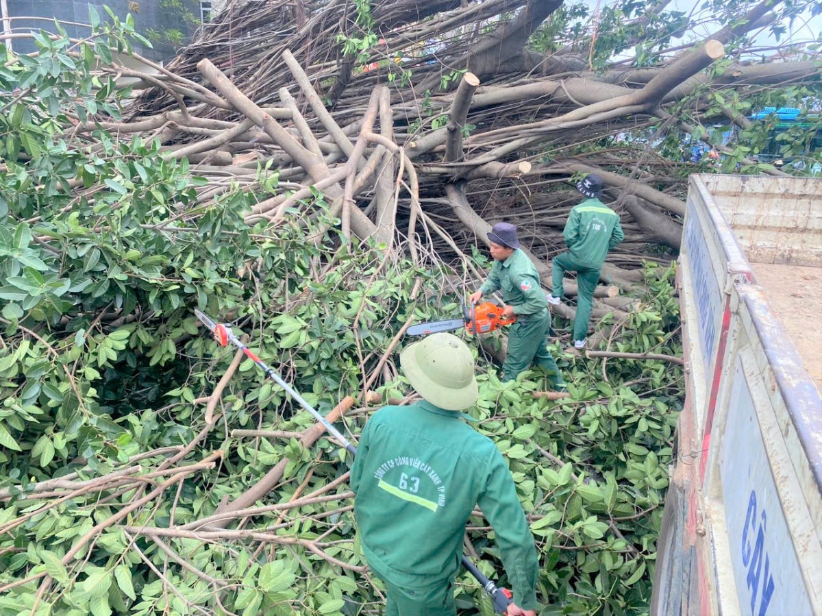 Nghệ An chung tay hỗ trợ đồng bào các tỉnh phía Bắc bị thiệt hại do bão lũ