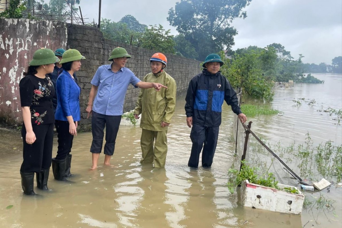 Huyện Ứng Hòa: Hơn 574,22ha diện tích hoa, rau màu bị thiệt hại do hoàn lưu bão