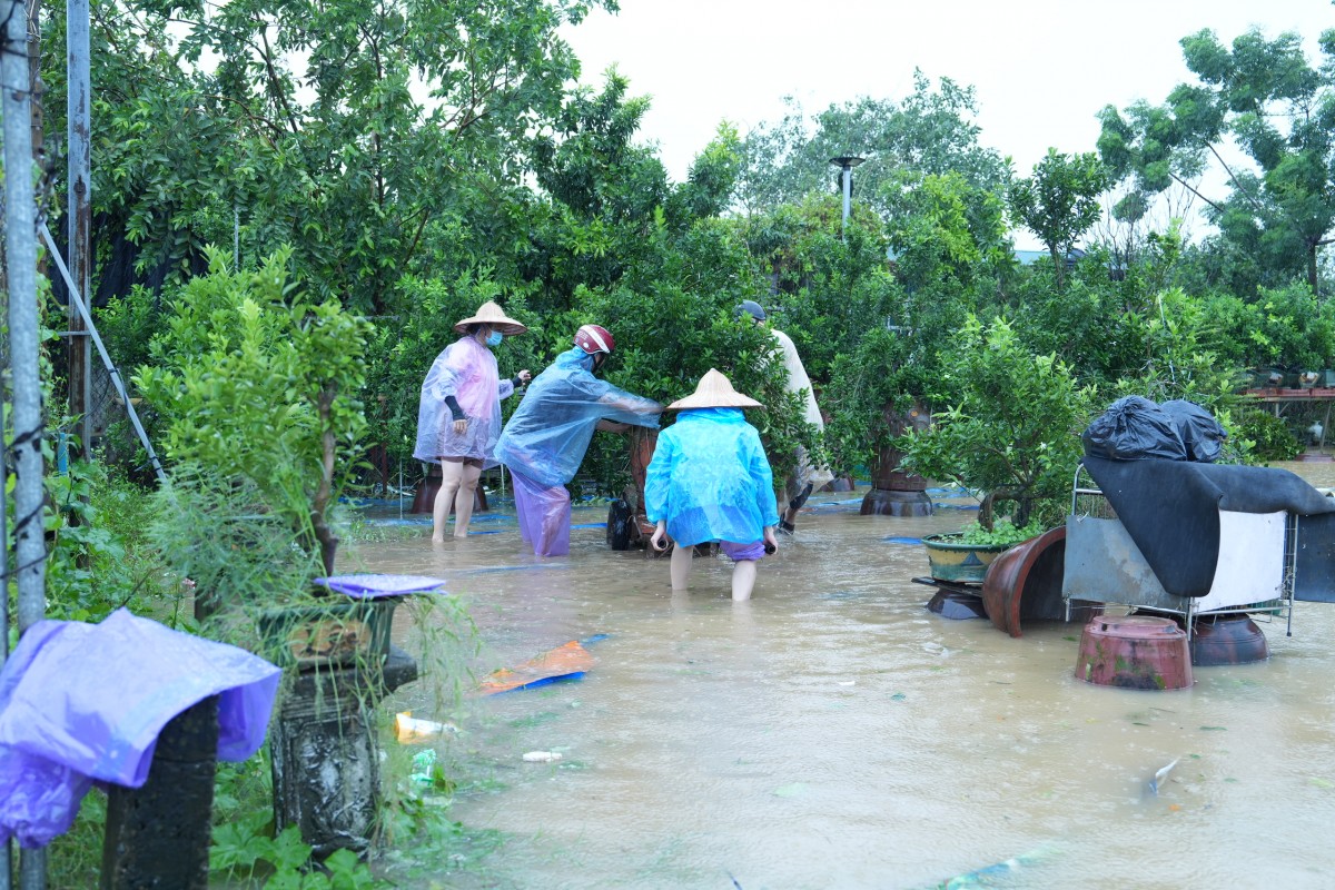 Quận Tây Hồ di dời hơn 700 hộ dân ra khỏi khu vực ngập lụt đến nơi an toàn