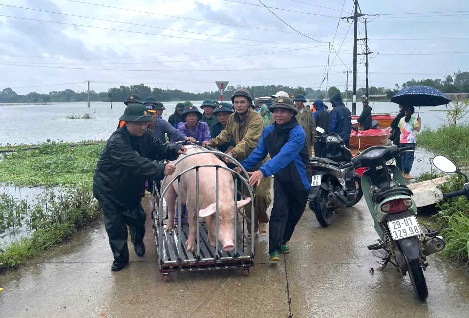 Hình ảnh đẹp về chiến sĩ công an, quân đội giúp người dân Sơn Tây khắc phục bão