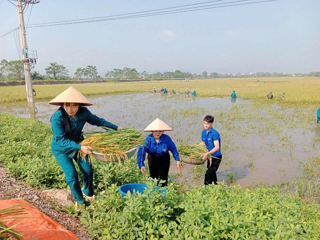 Huyện Mỹ Đức tiếp tục nỗ lực khắc phục hậu quả thiên tai