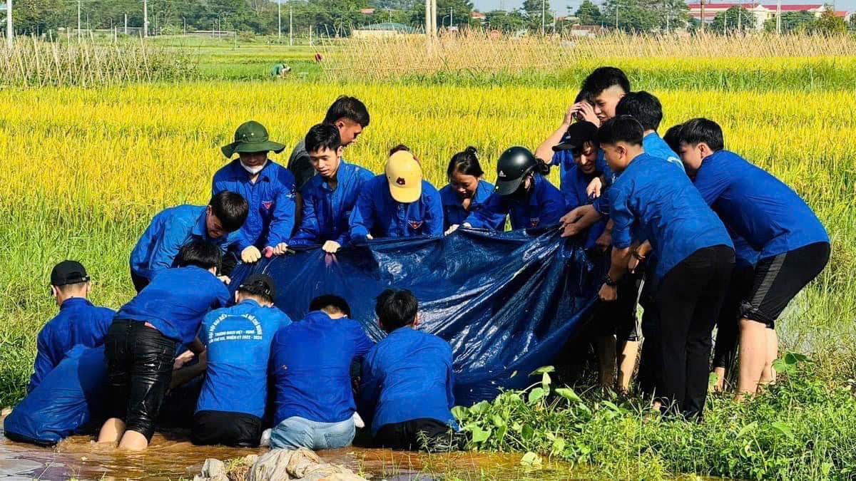 Hà Nội: Hơn 35.000 lượt đoàn viên, sinh viên tham gia khắc phục hậu quả bão số 3