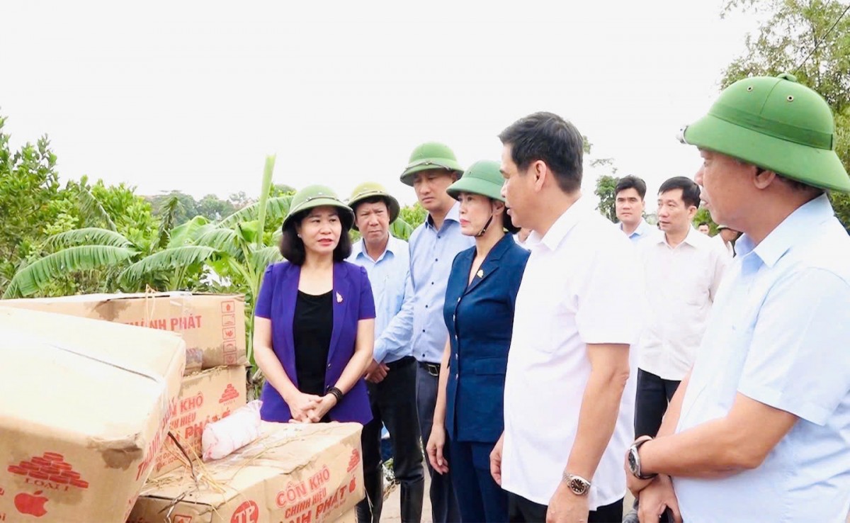 Phó Bí thư Thường trực Thành ủy Hà Nội Nguyễn Thị Tuyến kiểm tra công tác phòng, chống bão lũ tại thôn Đồng Chiêm