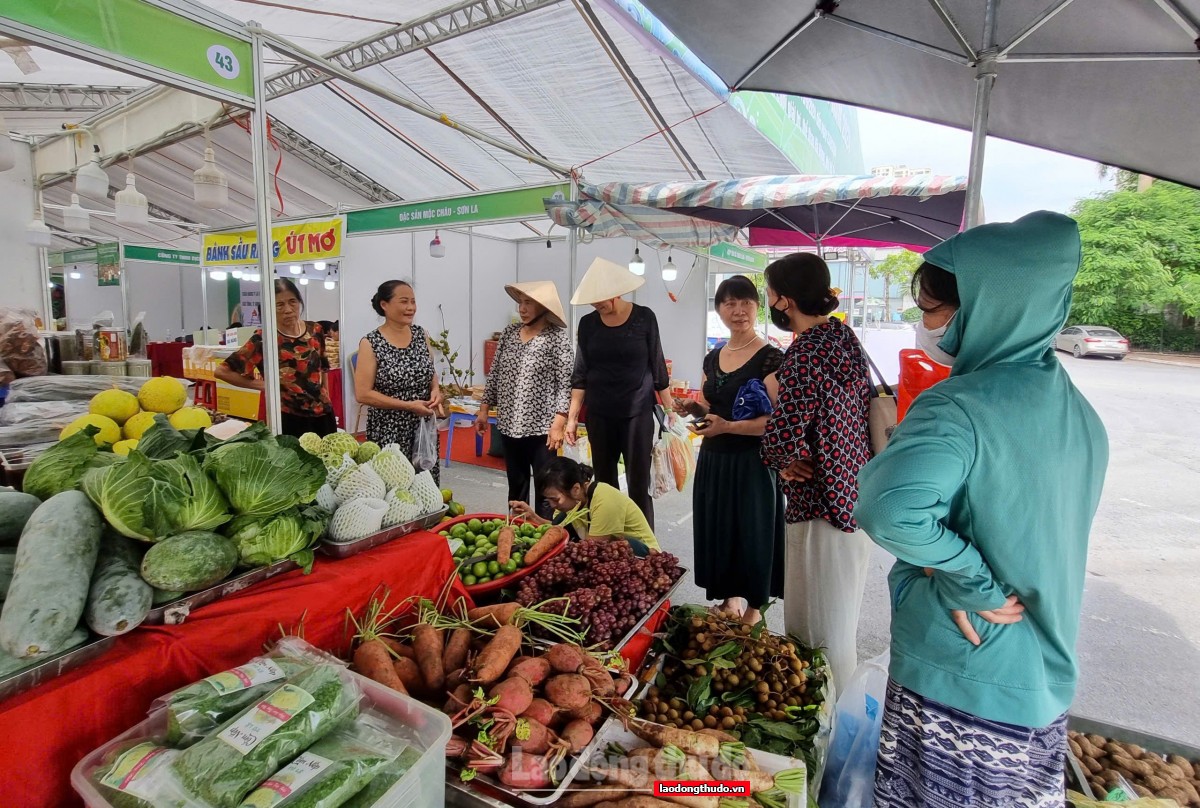 Hà Nội: Đảm bảo nguồn cung hàng hóa phục vụ người tiêu dùng