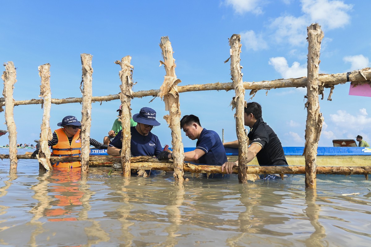 Các nhân viên, tình nguyện viên từ Gaia và các cán bộ thuộc Ban quản lý Vườn Quốc gia Mũi Cà Mau cùng nhau dựng hàng rào và giăng lưới để khoanh nuôi các cây mắm trắng.