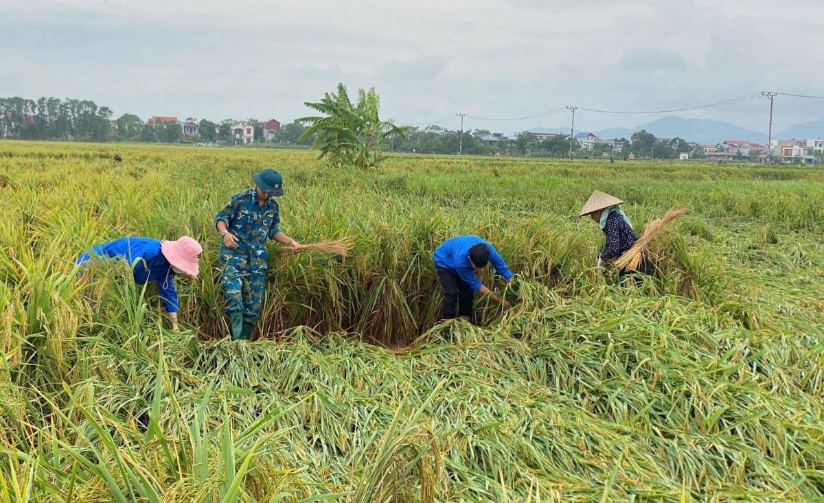 Nỗ lực xây dựng nông thôn mới, nâng cao đời sống nhân dân