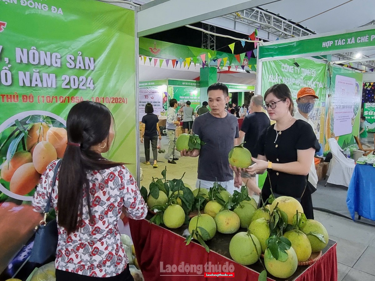 Hơn 70 gian hàng tham gia Tuần hàng trái cây, nông sản các tỉnh, thành phố năm 2024