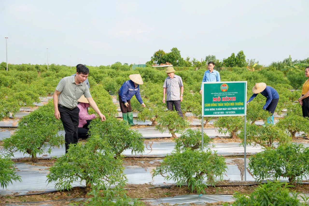 Nông dân Đan Phượng: Nhiều công trình ý nghĩa mừng 70 năm Giải phóng Thủ đô