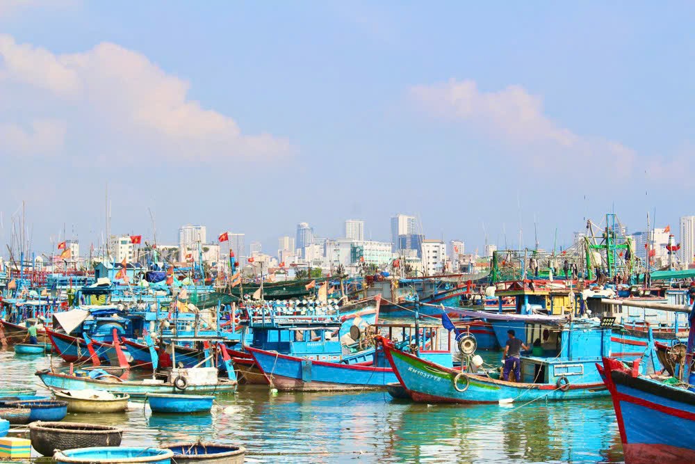 Các tàu cá, tàu du lịch cũng di chuyển vào bờ hoặc tìm nơi tránh trú an toàn