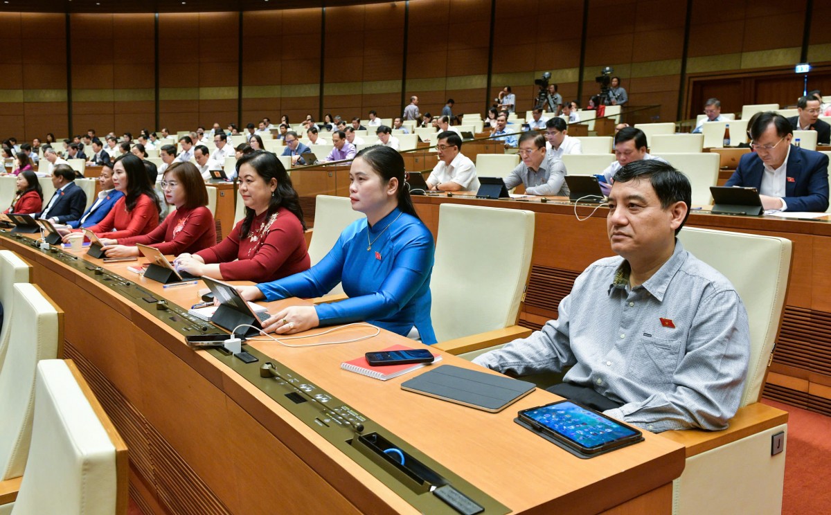 Ngăn chặn đấu giá cao rồi bỏ cọc: Đại biểu kiến nghị người tham gia phải chứng minh đủ tiền để mua