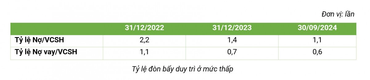 Doanh thu 9 tháng đầu năm 2024 của Bamboo Capital đạt 3.238 tỷ đồng