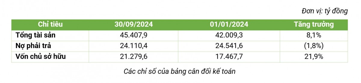 Doanh thu 9 tháng đầu năm 2024 của Bamboo Capital đạt 3.238 tỷ đồng