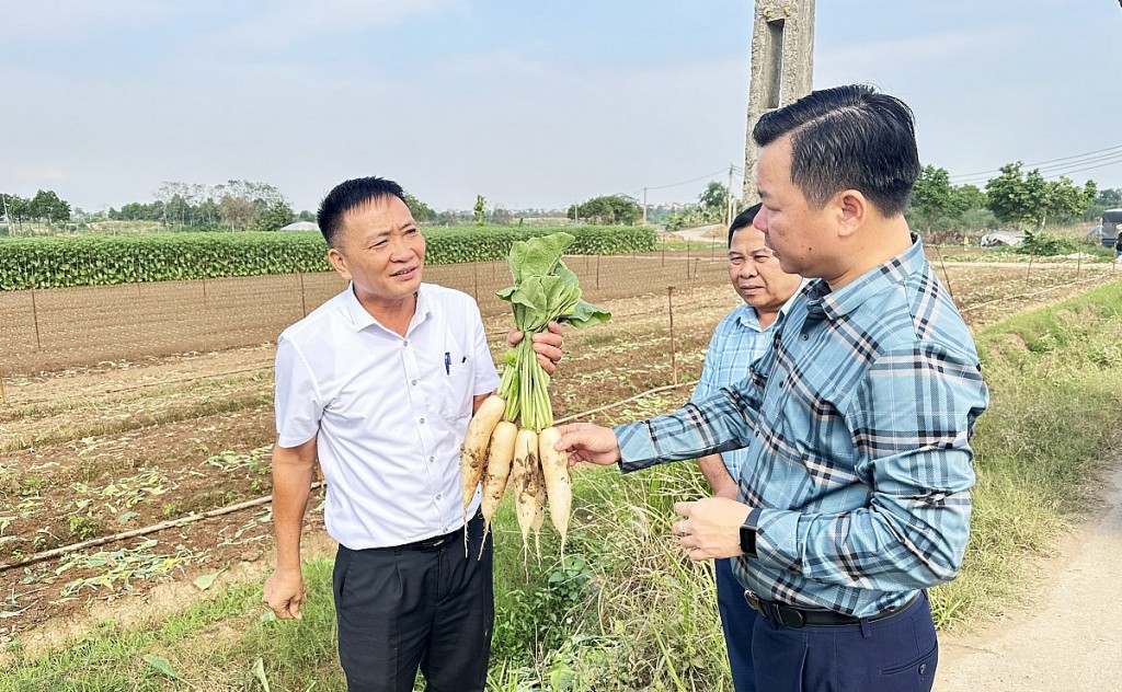 Đẩy mạnh kết nối cung - cầu, nâng cao giá trị sản phẩm địa phương