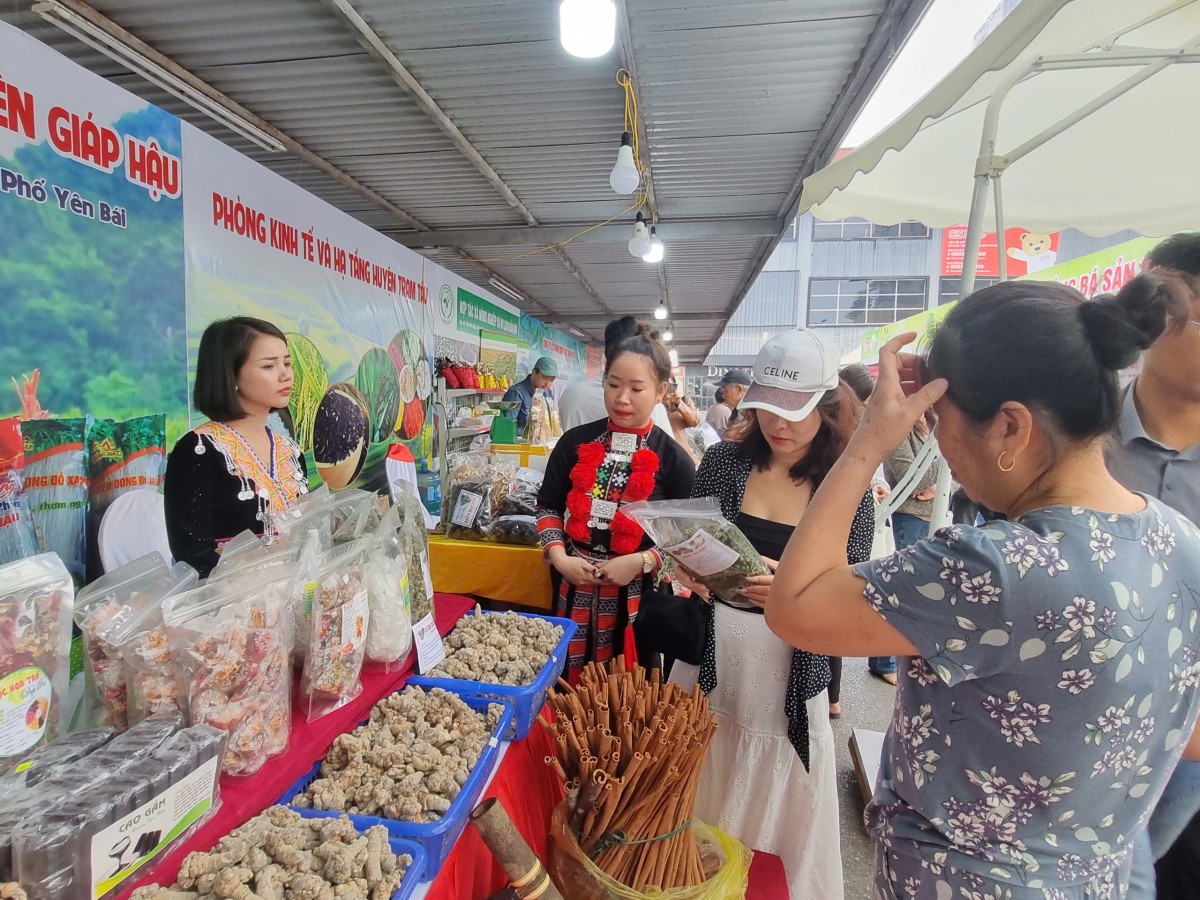 Khai mạc Tuần hàng giới thiệu, quảng bá sản phẩm nông, lâm, thủy sản tỉnh Yên Bái năm 2024 tại Hà Nội