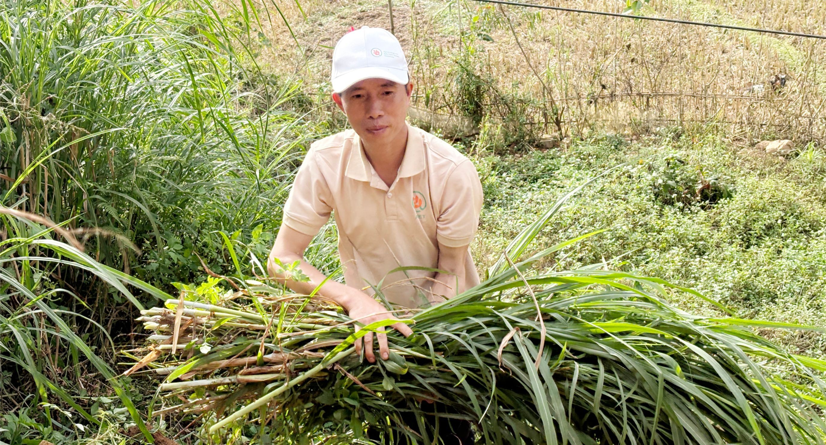 Gắn kết tự nhiên và phát triển bền vững nhờ nông nghiệp sinh thái ở Tây Bắc