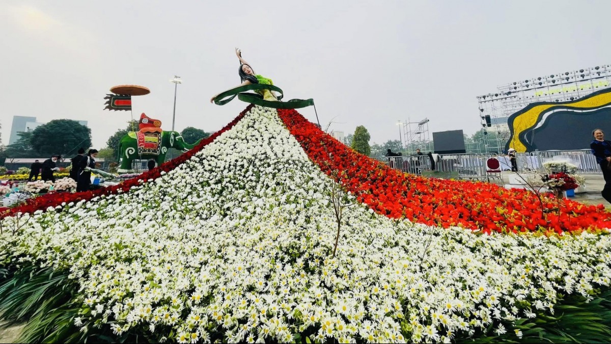 Rực rỡ sắc hoa tại Festival hoa Mê Linh lần thứ hai