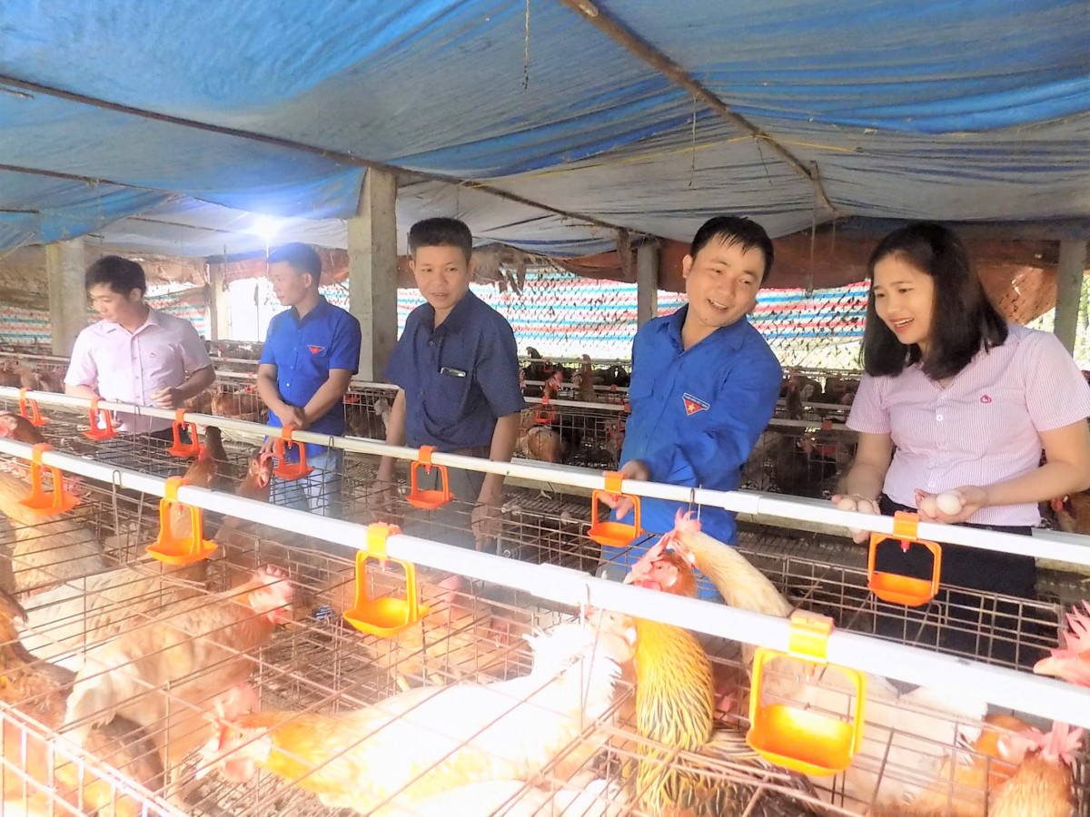 Ngân hàng chính sách xã hội Nghệ An triển khai tích cực, hiệu quả nhiệm vụ chuyển đổi số