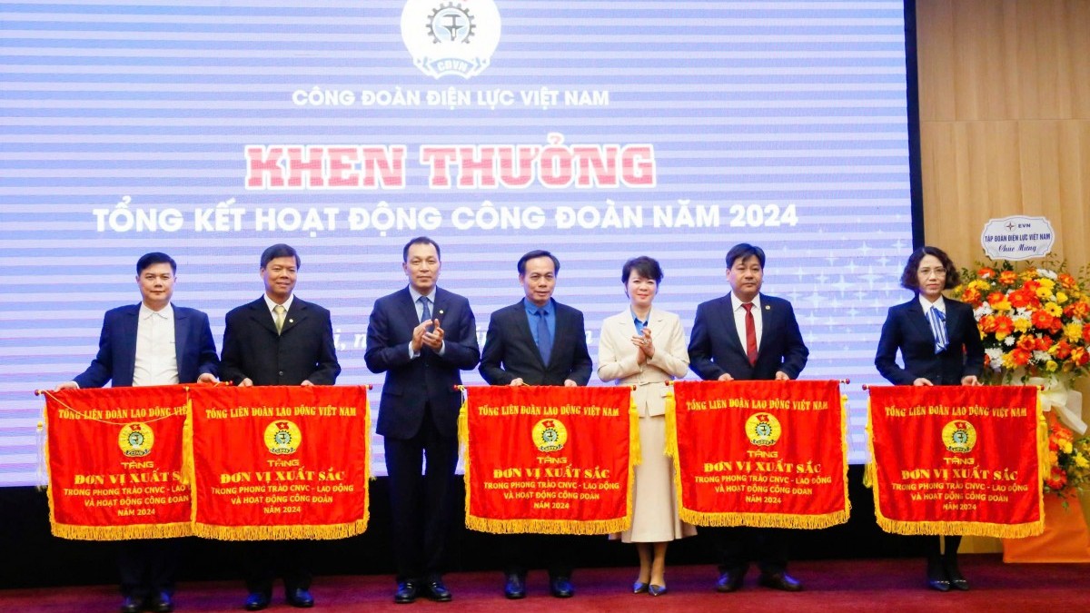 Công đoàn Điện lực Việt Nam thực hiện tốt công tác chăm lo cho đoàn viên, người lao động